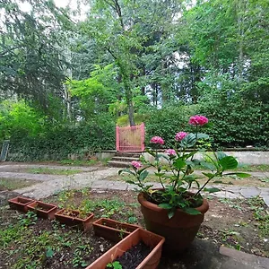 Bed & Breakfast Il Gatto Nero, Serramazzoni